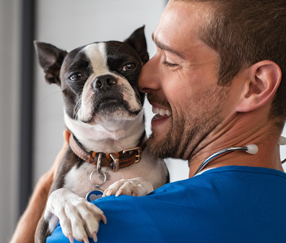 Pet care staff member holding a Boston Terrier dog and smiling
