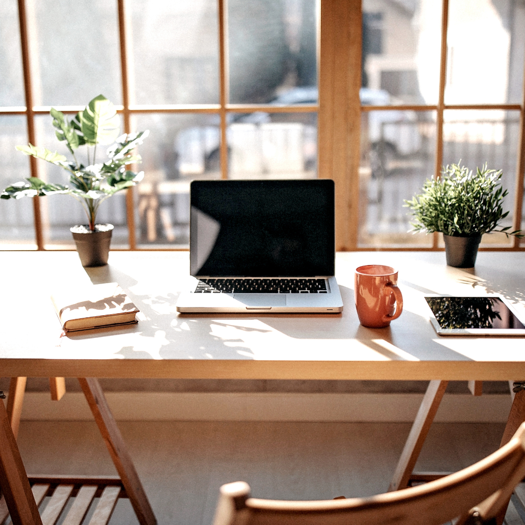 Home office desk with a laptop and plants near a window with sunlight shining inside